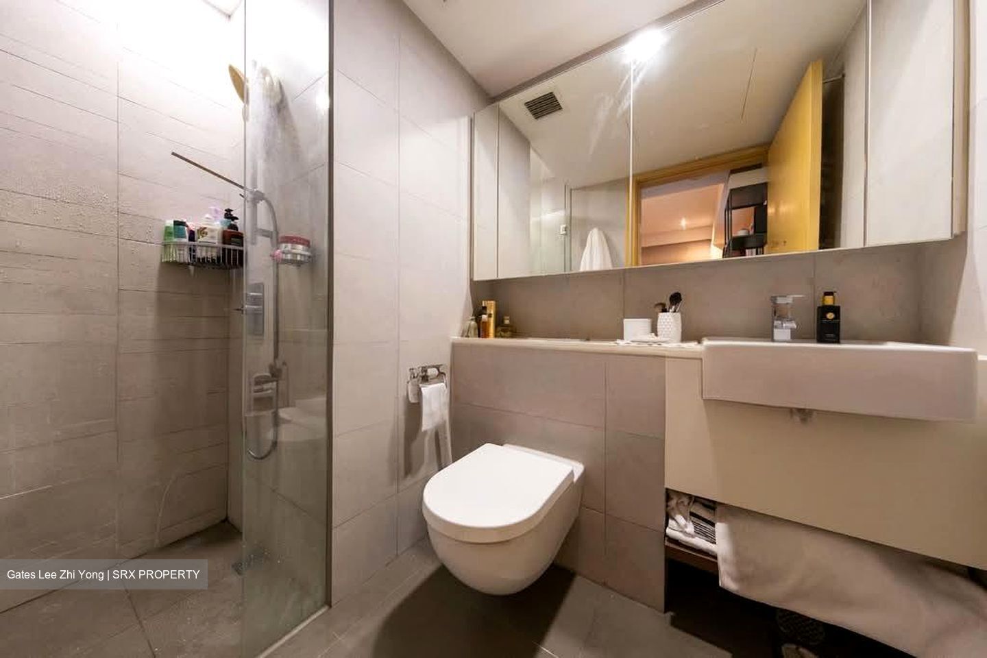 Eight Riversuites (D12), Condominium #560737481